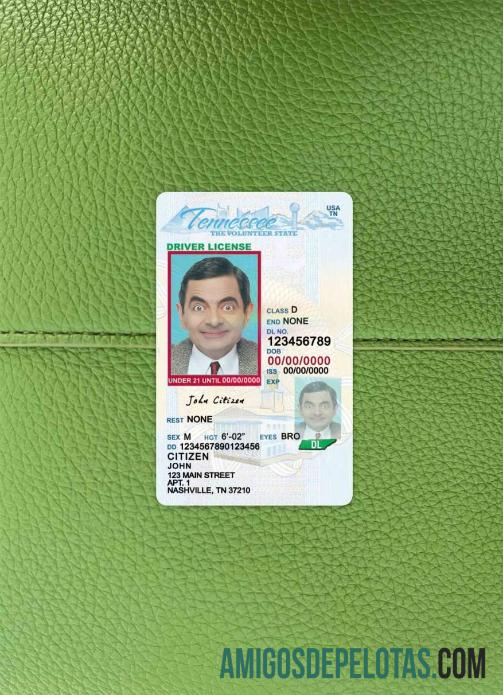 Carteira de habilitação dos EUA, Tennessee, menores de 21 anos fotolook frente baixar para verificação